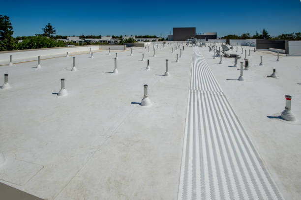 Best Roof Moss and Algae Removal  in Oskaloosa, IA